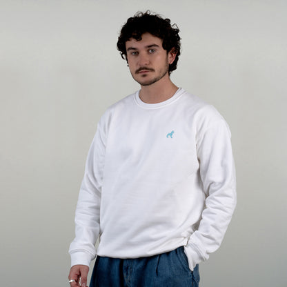 Le sweat Bahamut est vu de face porté par un model masculin.