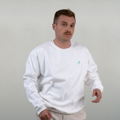 Le sweat Bahamut est vu de face porté par un model masculin.